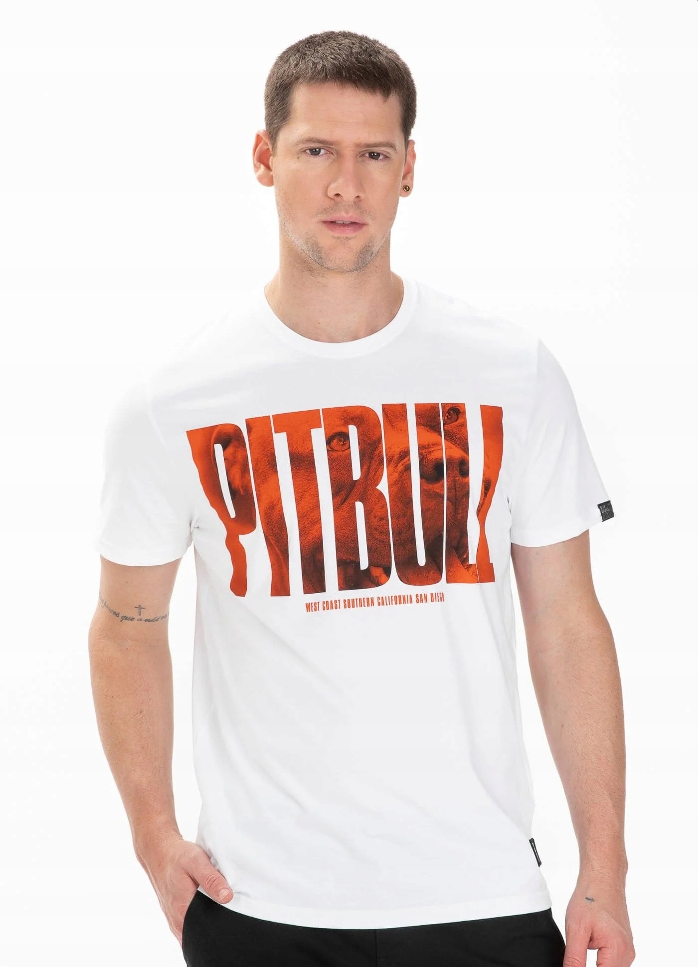 MĘSKA KOSZULKA BAWEŁNIANA PIT BULL ORANGE DOG XL Marka PITBULL