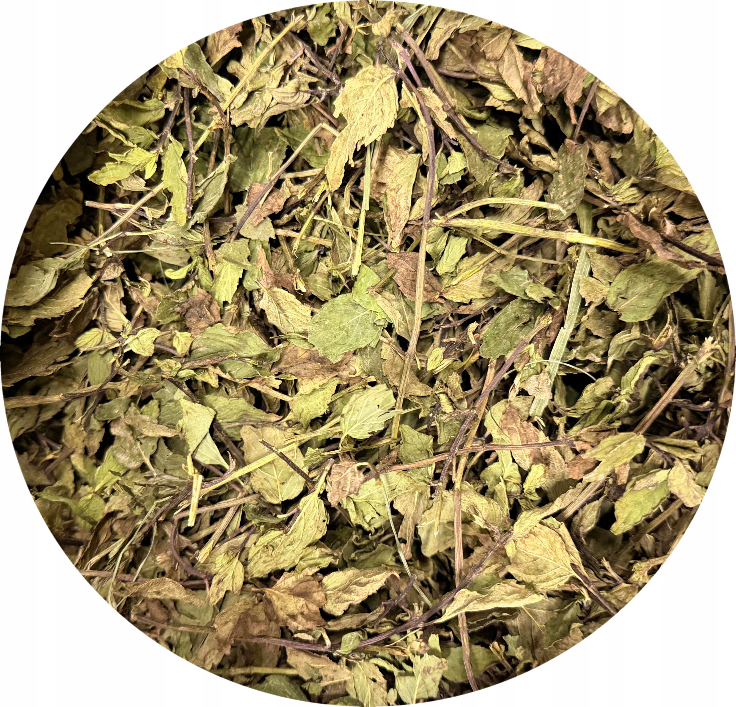 Levně Máta peprná – bylina na krmivo – 8000 g 8 kg