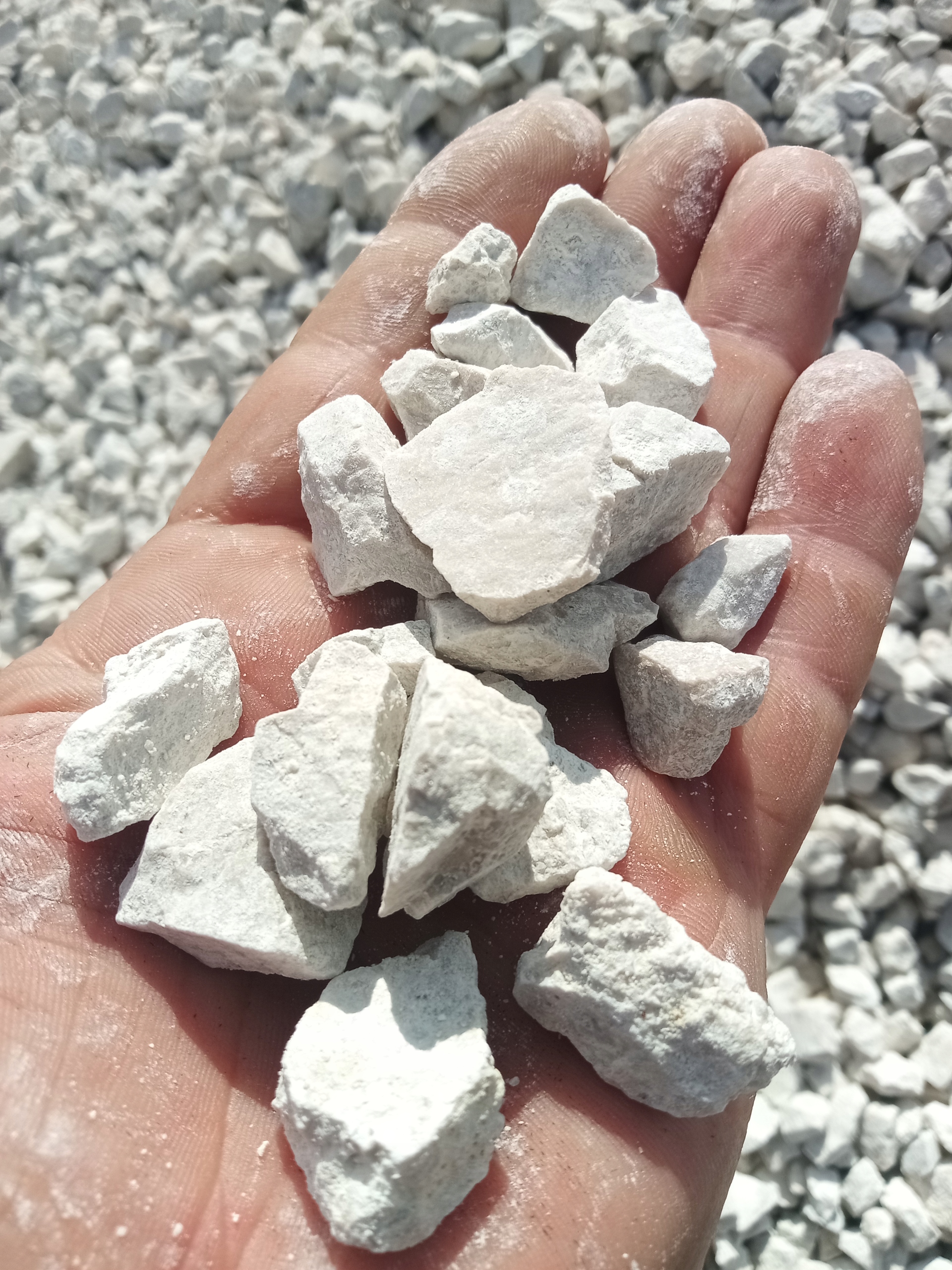 Grys biały 8-22 dolomit do ogrodu I gatunek z 1000 kg