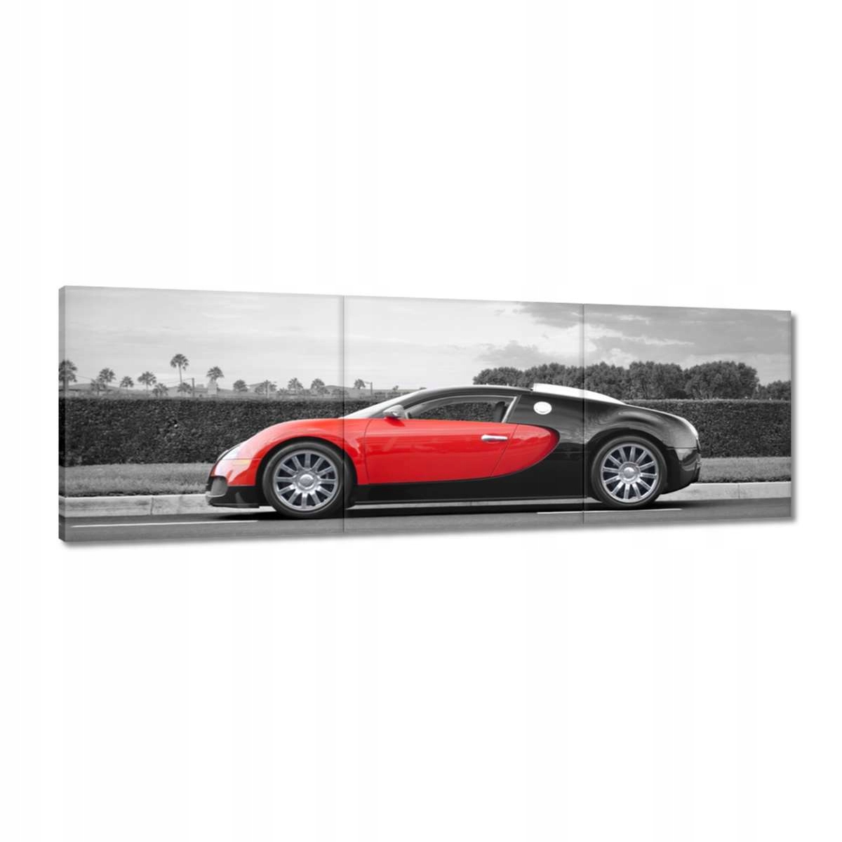 Obrazy 150x50 Sport car