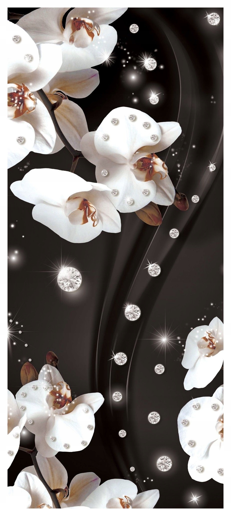 Samolepka Fototapeta Bílé orchideje Diamantový lesk Elegance 91x211