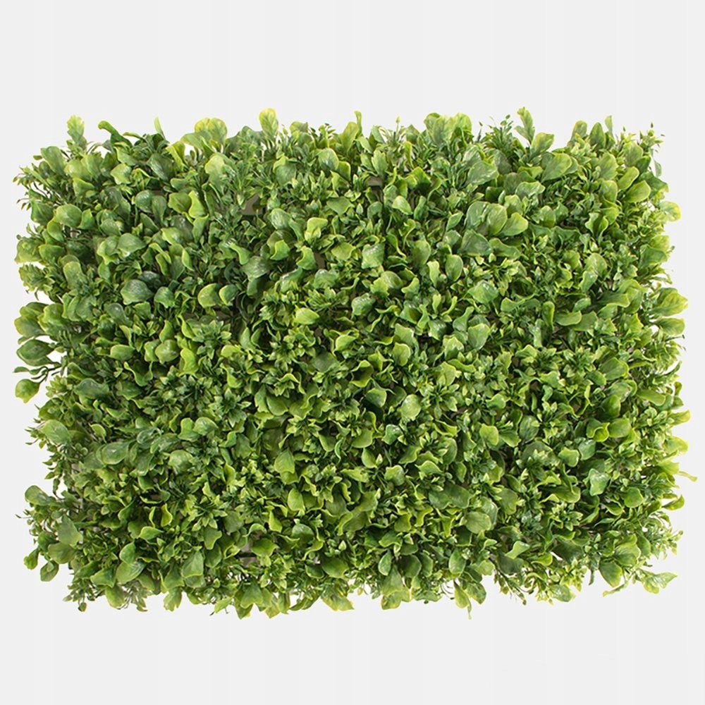 Levně Panel rostlin 60 x 40 cm Rostlinný panel hustý