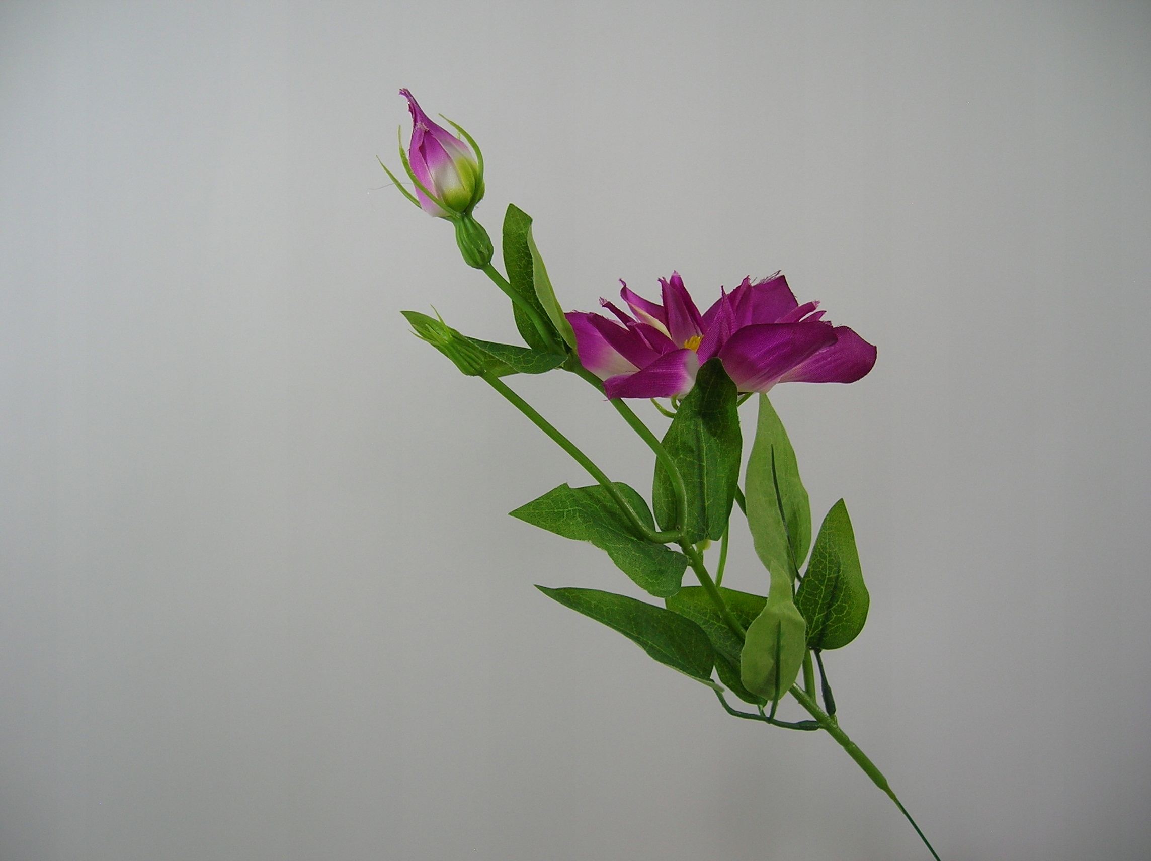 KLc SZTUCZNA GAŁĄZKA KLEMATISU POWOJNIK CLEMATIS Marka bez marki