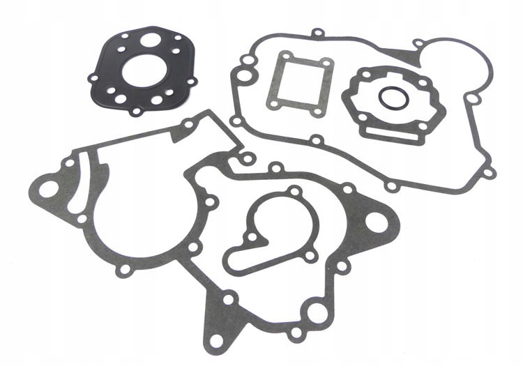USZCZELKI SILNIKA DO DERBI SENDA 2006