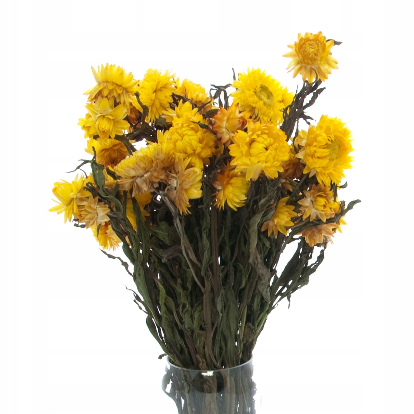 

Suszone kocanki żółte, nieśmiertlenik ~30 szt.