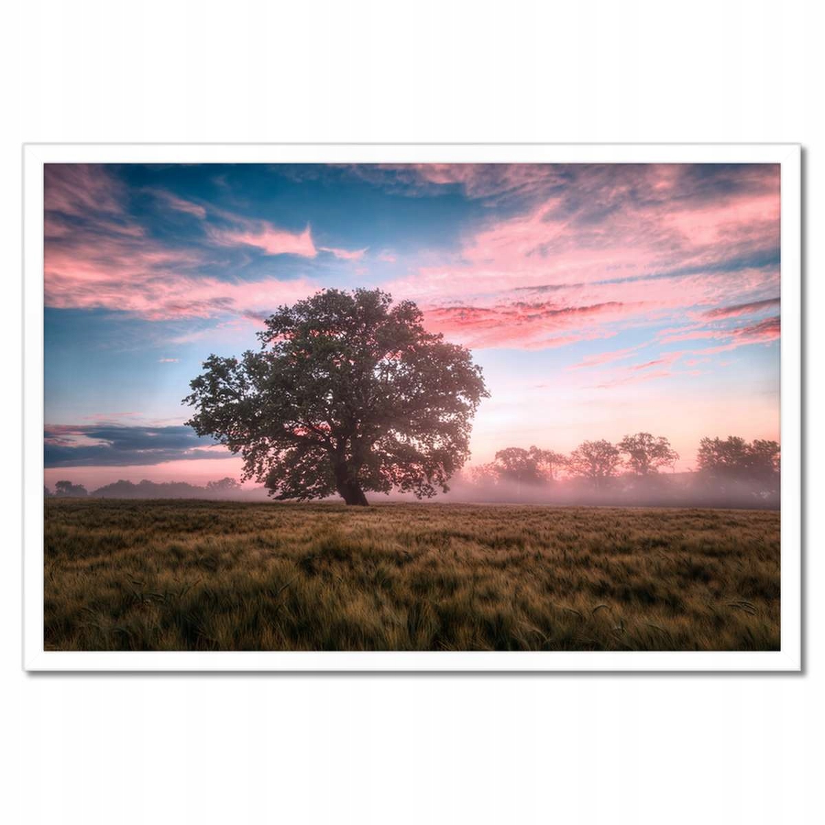 Plakáty v rámu 60x40 Cukrová krajina Mlha