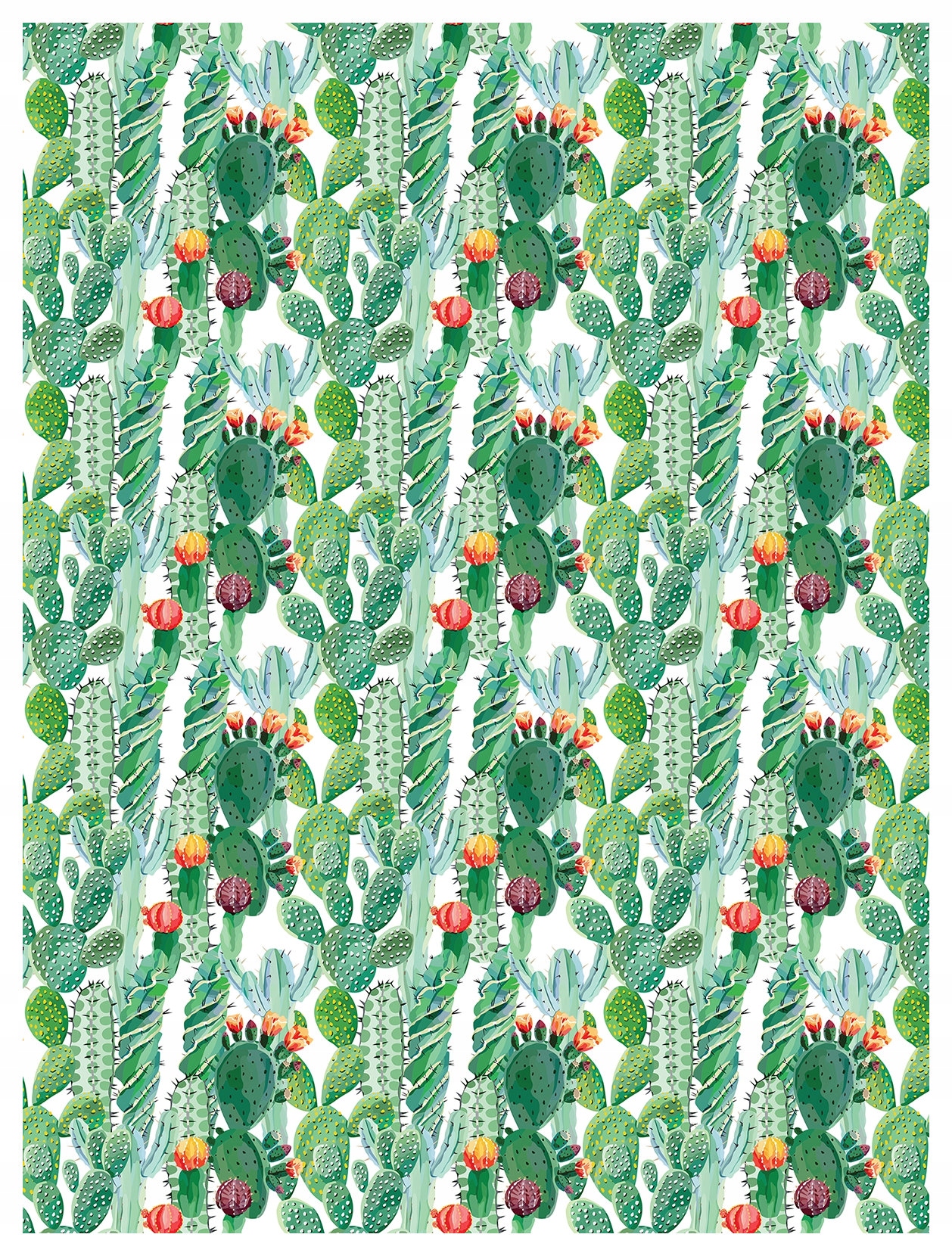 Fototapeta Kaktusy Mix Pouštní ráj vinylová 184x254 lepidlo