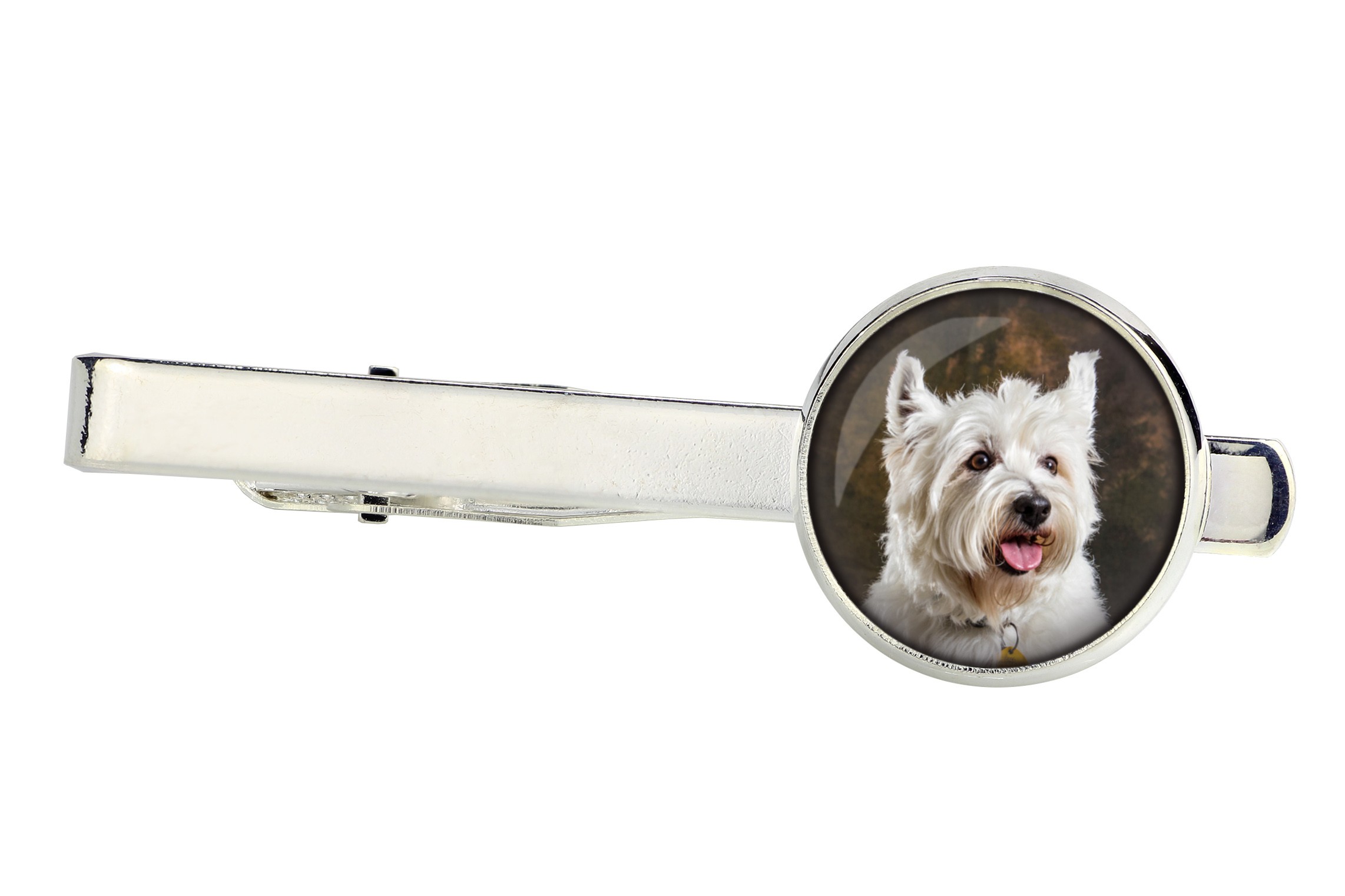 

West Highland White Terrier Spinka do krawata foto