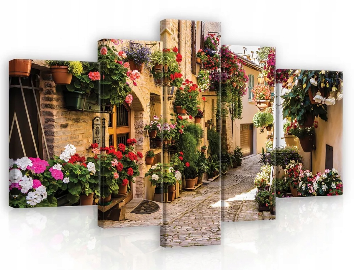 Obraz Na Plátne Canvas 170x100 Ulička Kvety