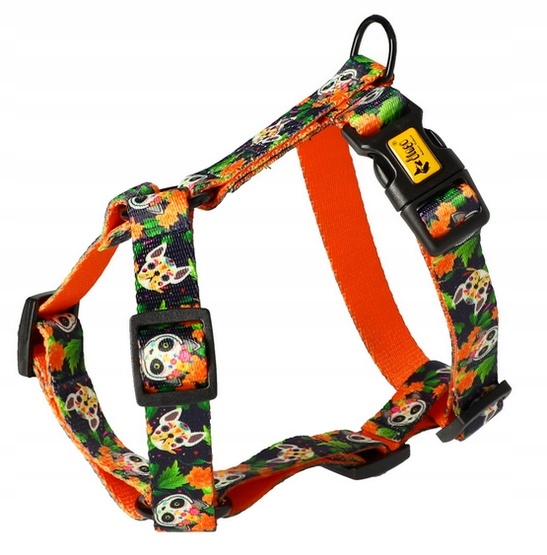 Levně Pásek Guard Pro Psa Vzor Chiapas Nastavitelný Dingo City Velikost S Pevný