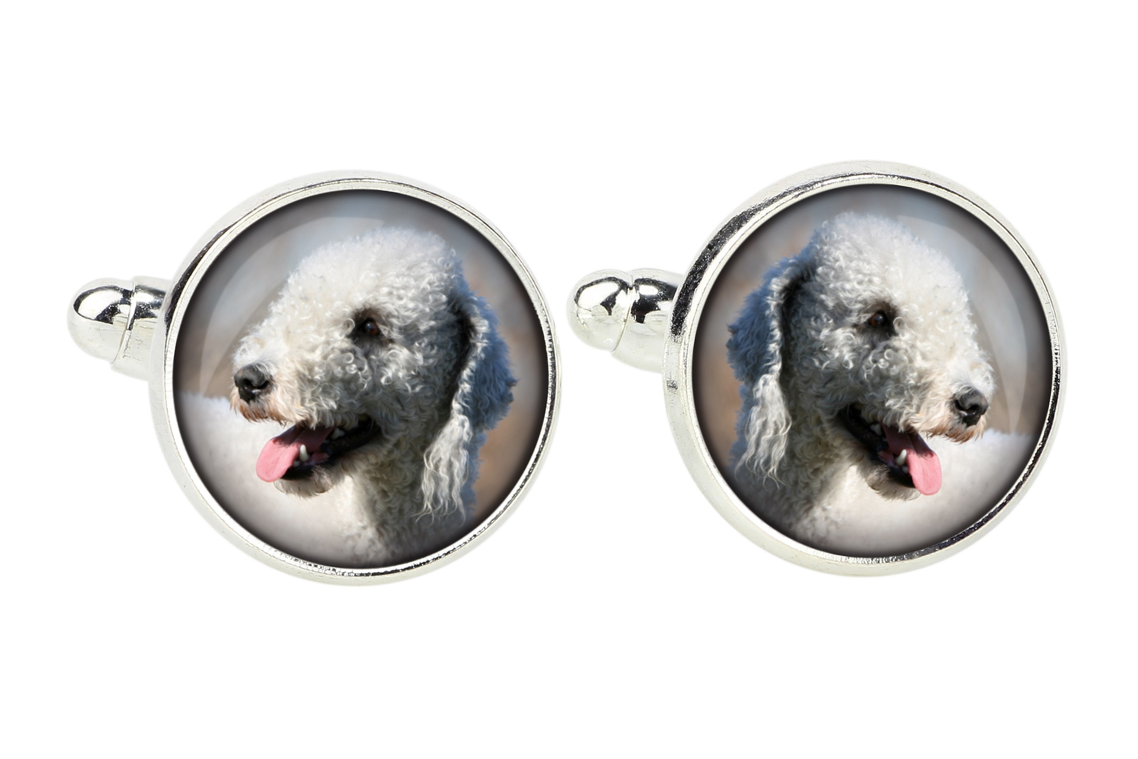 

Bedlington Terrier Spinki do mankietów ze zdjęciem