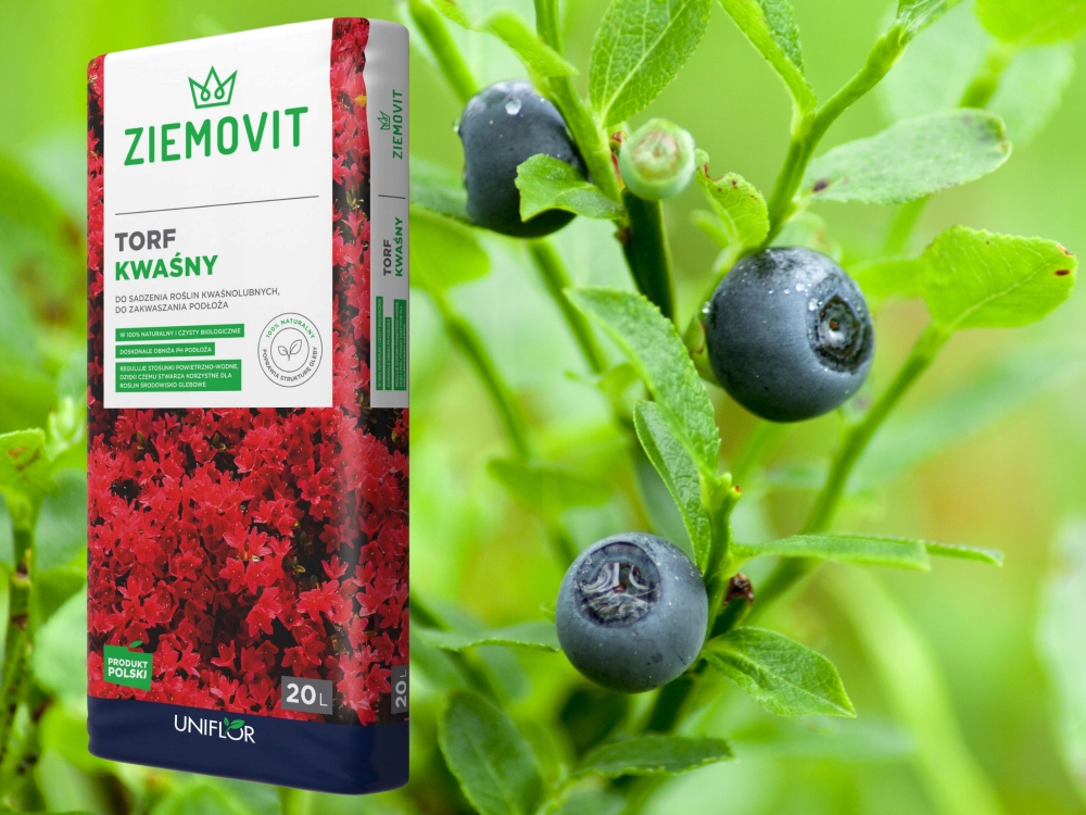 TORF KWAŚNY OGRODNICZY PODŁOŻE ZIEMIA DO BORÓWKI RODODENDRONÓW IGLAKÓW 20L Kod producenta TORF KWAŚNY