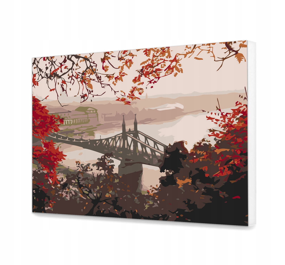 Budapešť Most Svobody Obraz pro Malování 80x100