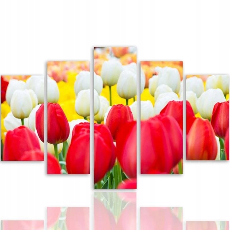 5dílný obraz Canvas Bílé a červené tulipány 250x120