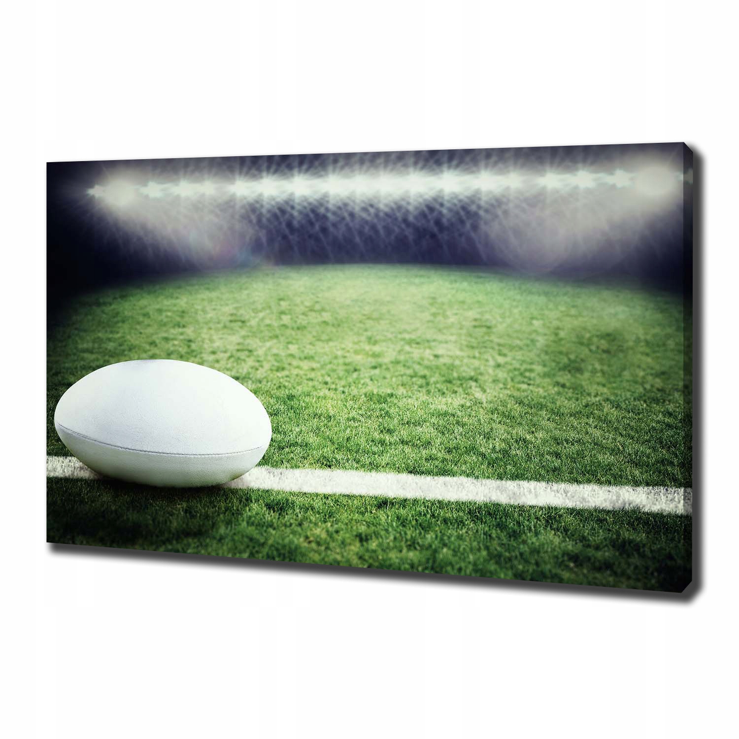 

Foto obraz na płótnie Piłka w rugby 100x70 cm