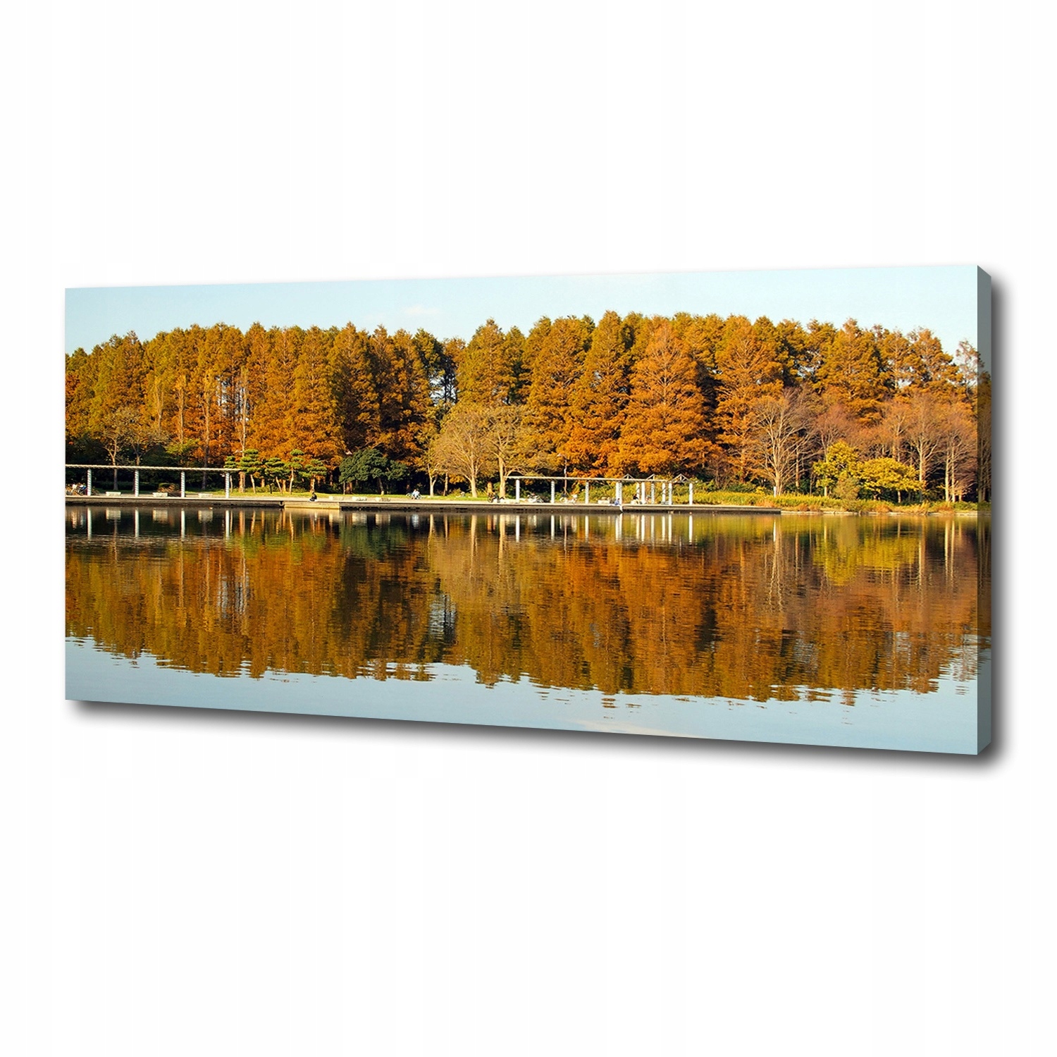

Foto obraz na płótnie Las nad jeziorem 125x50 cm
