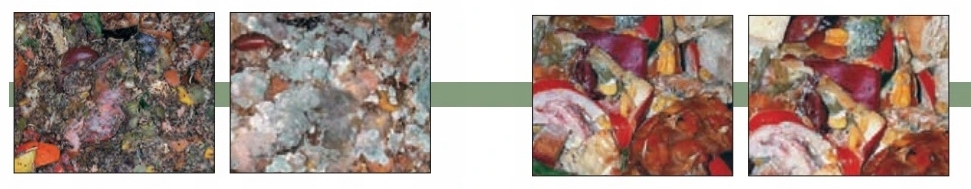 Kosz śmieci odpady zielone bio pojemnik obierki Rodzaj pojemniki do segregacji