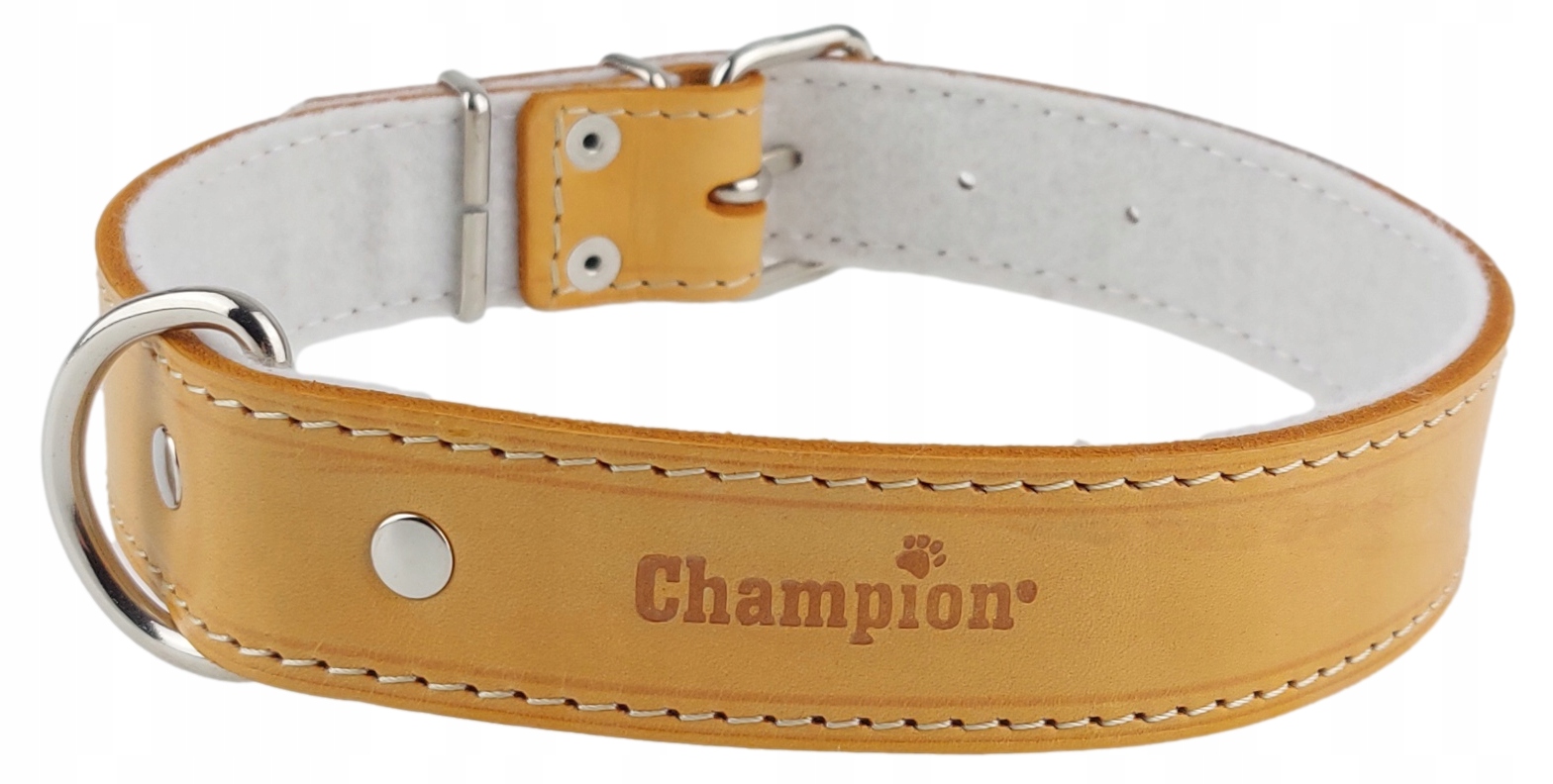 Obojek pro psa Lícová kůže Polský Výrobce Champion 65 cm/3,5 cm Orange