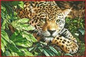 Křížková výšivka počítaná sada (kanva, mulina)