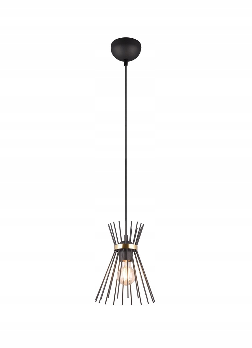 Rl Designová závěsná lampa černá E27 40W Rod IP20
