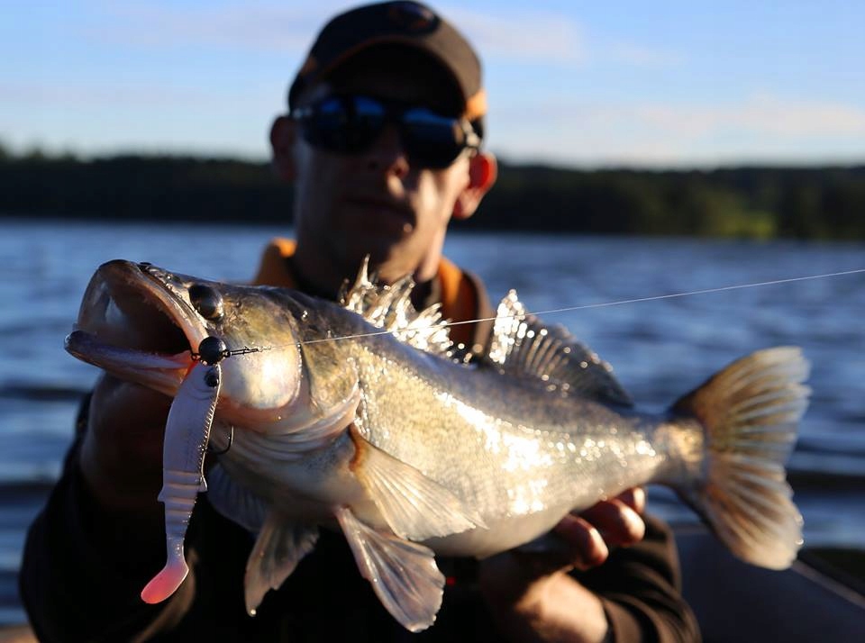 Savage Gear CANNIBAL OKONIOWY KILLER 6,8cm - Roach Marka Savage Gear