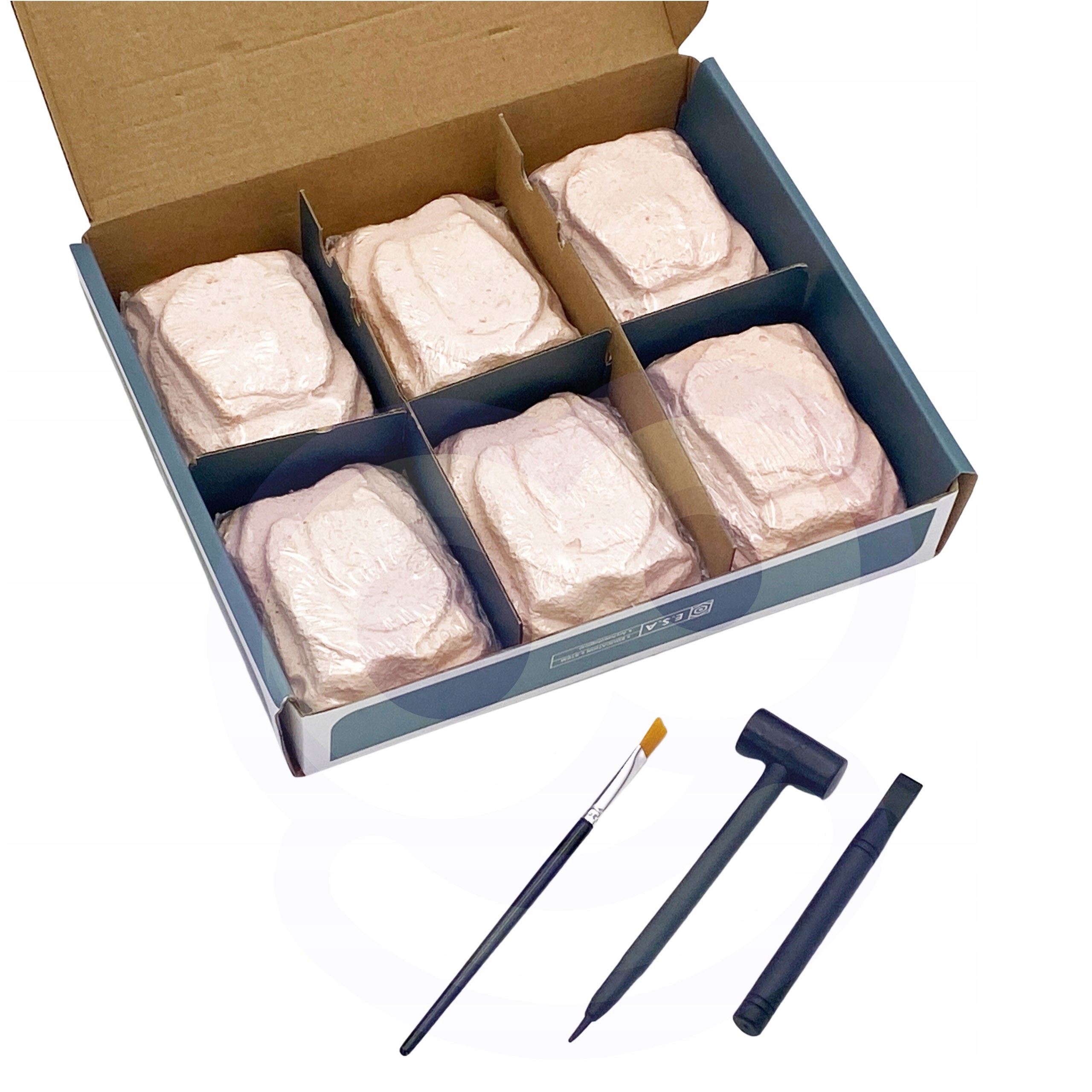 WYKOPALISKO 6W1 DINOZAUR SZKIELET MAŁY ARCHEOLOG WOOPIE Marka Woopie