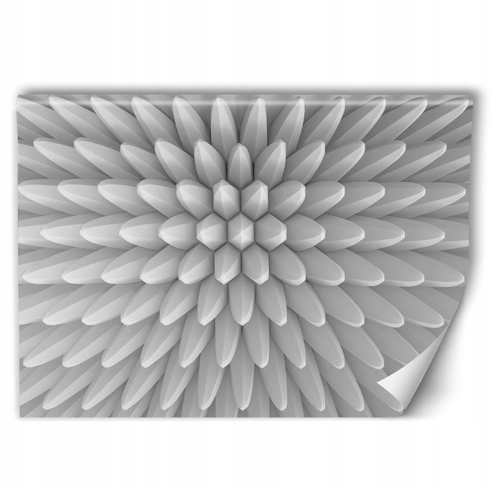 

Tapeta 3D Ścienna Abstrakcyjny Motyw +klej 250x166