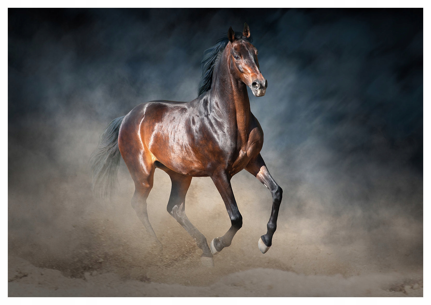 Vliesová fototapeta Kůň v prachu dynamika a grácie 254x184 lepidlo