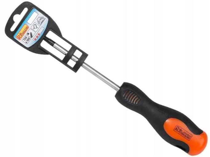 Richmann Wkrętak Magnesem TORX 5x75mm