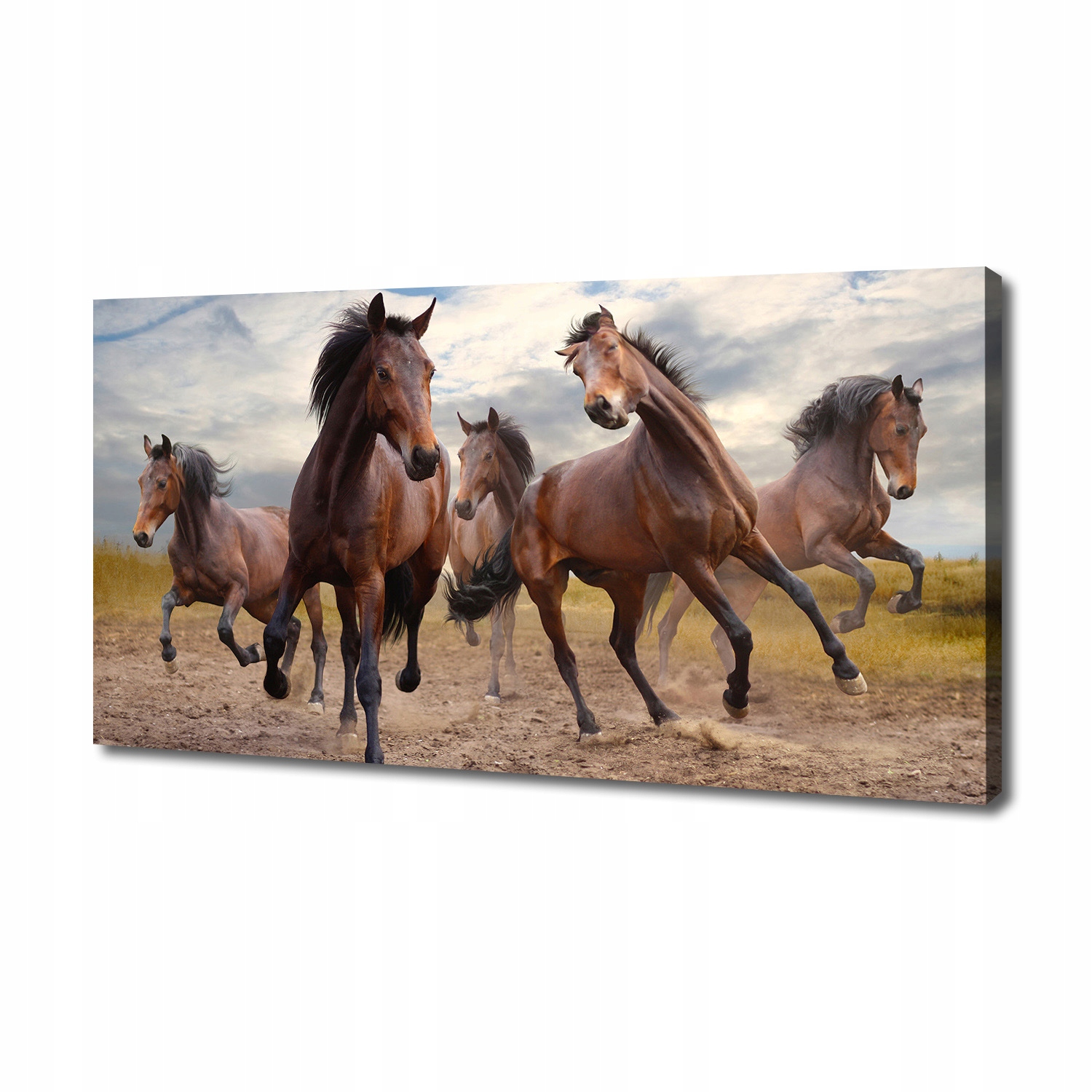 

Foto obraz canvas na ścianę Pięć koni 140x70 cm
