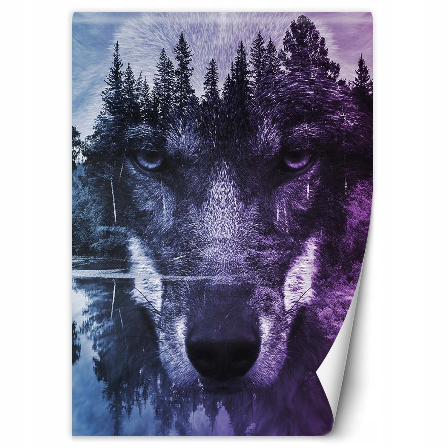 Fototapeta Pysk vlka a les 150x210