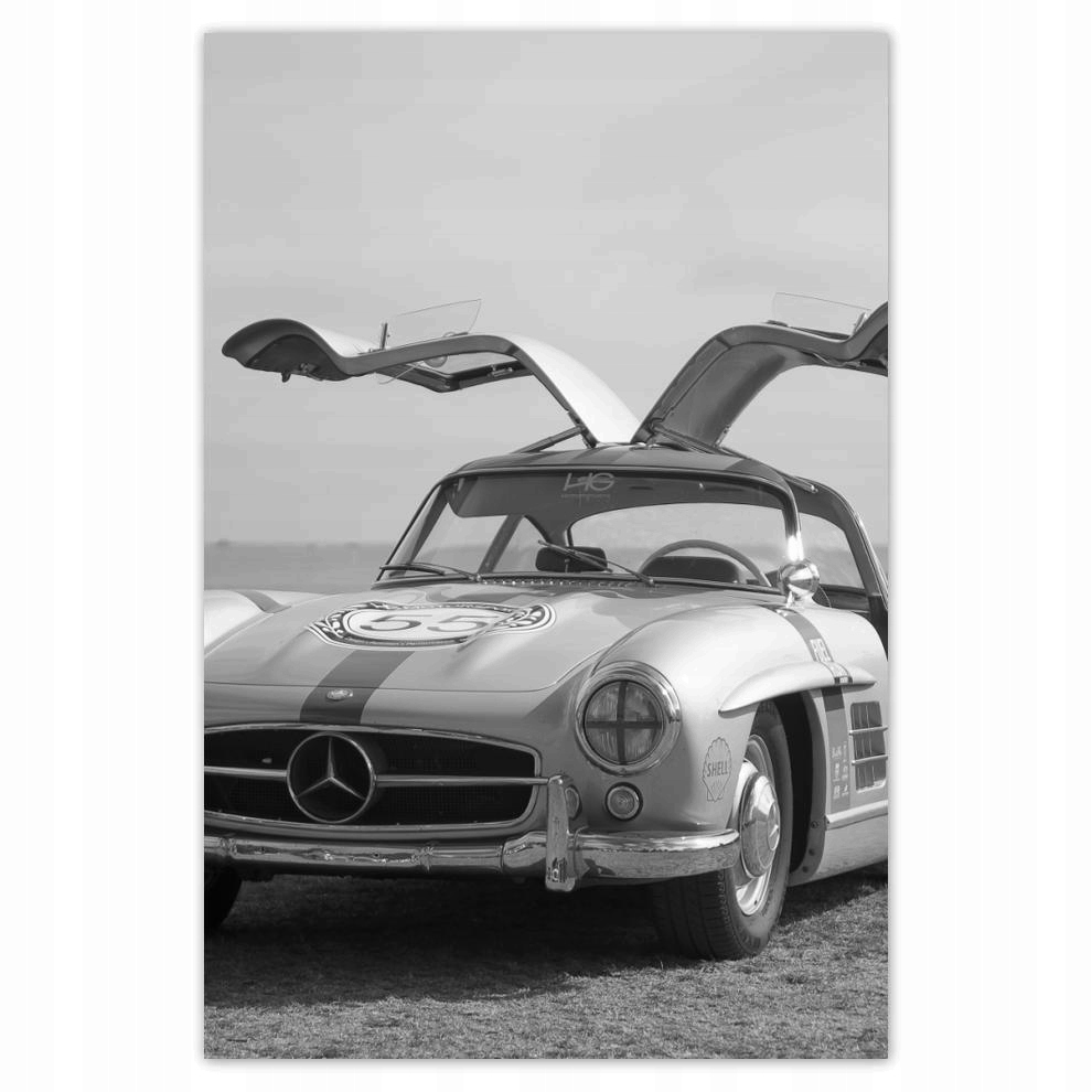 

Naklejki 40x60 Mercedes Gullwing
