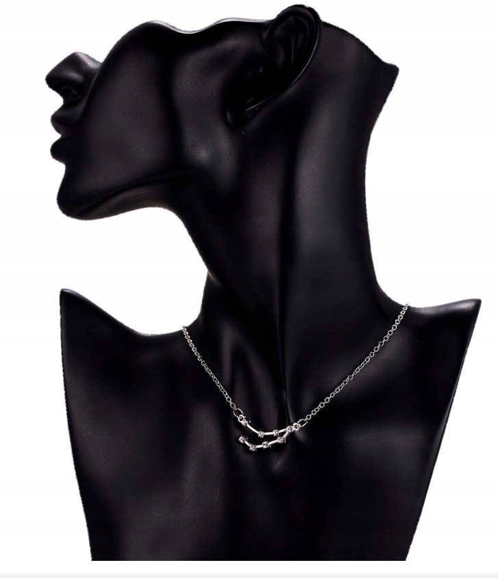 Naszyjnik z znakiem zodiaku Horoskop Koziorożec 01 Marka inna