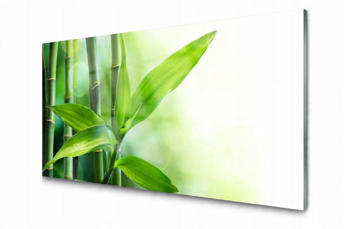 

Panel szklany Płytka Bambus Liść Roślina 140x70