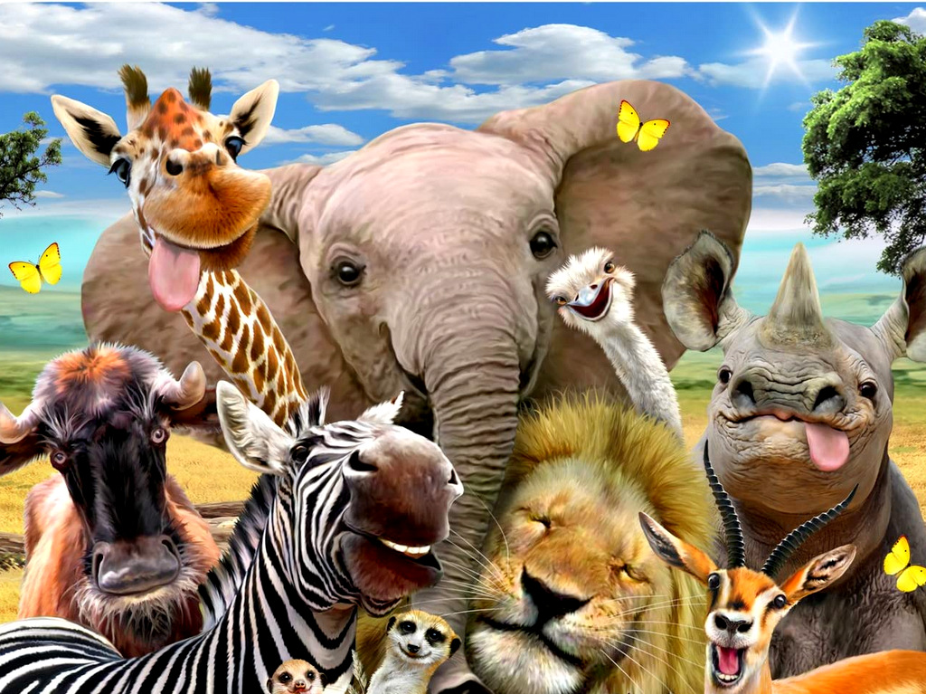 

Obraz Malowanie Po Numerach Na Krośnie