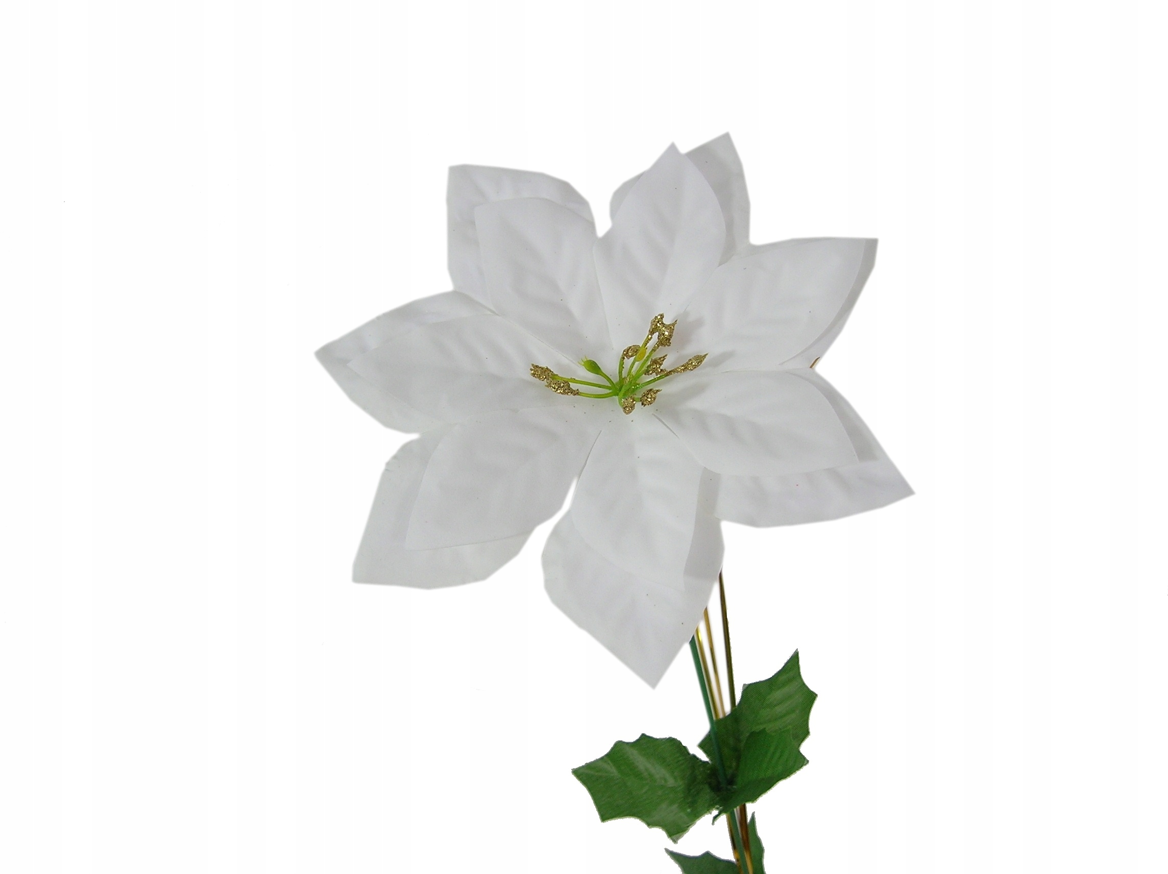 BG2 POINSECJA GWIAZDA BETLEJEMSKA GAŁĄZKA BIAŁA GWIAZDA