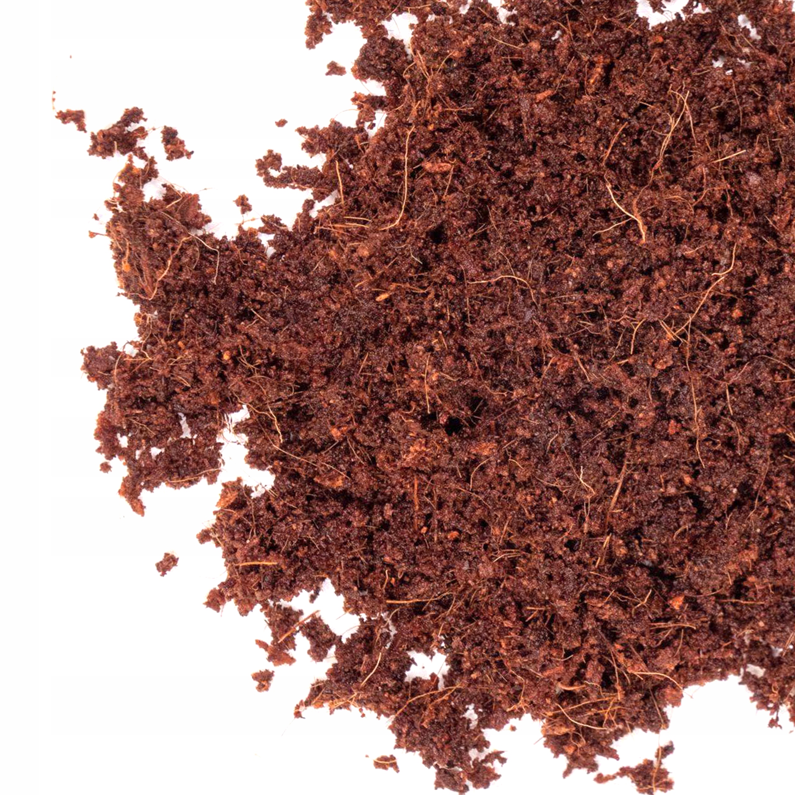 Torf Kokosowy Ogrodniczy Dracena Palmy Czysty 5L Kod producenta torf kokosowy do sadzenia roślin podłoże