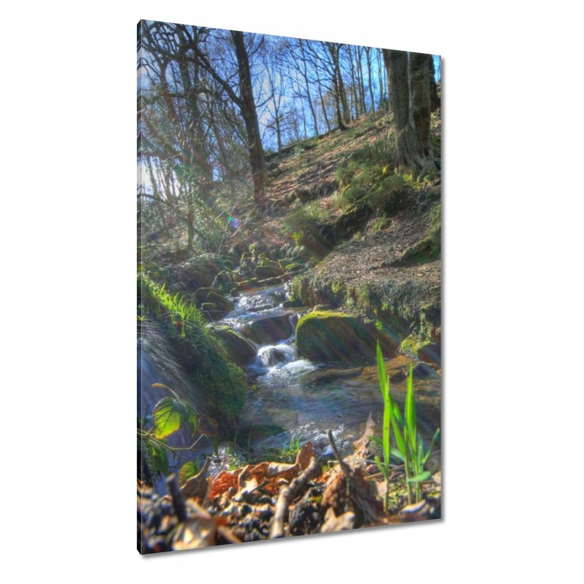 Obrazy 80x120 Východ slunce