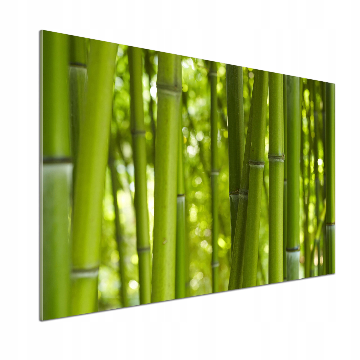 Sklenený panel do kuchyne Bambus 100 x 70 cm Lepidlo