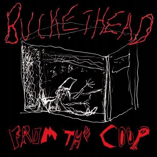 Buckethead Cd - Muzyka - Allegro.pl