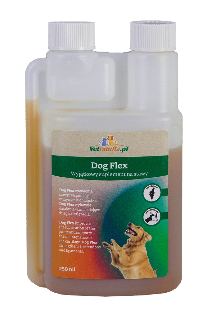 Dog Flex 250 ml – suplement na stawy dla psa, glukozamina, Msm, kolagen