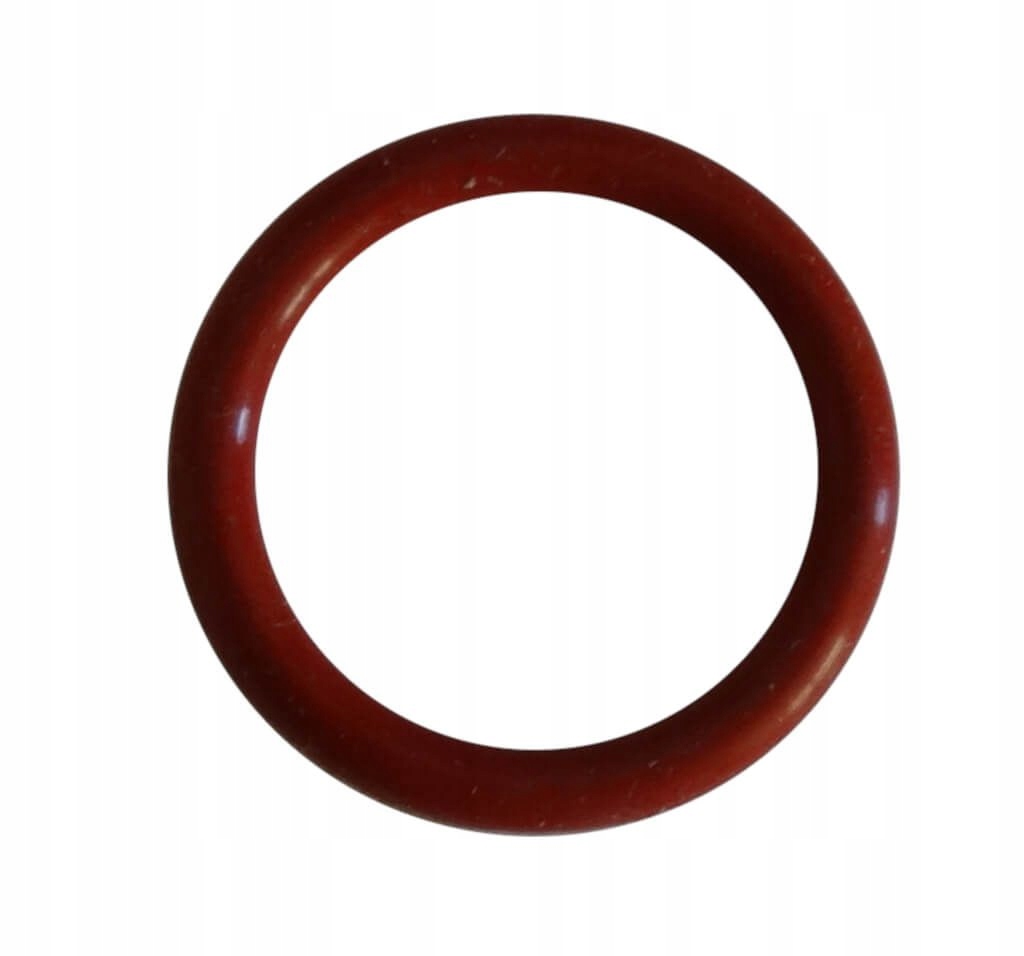 

Oring Briggs 692296