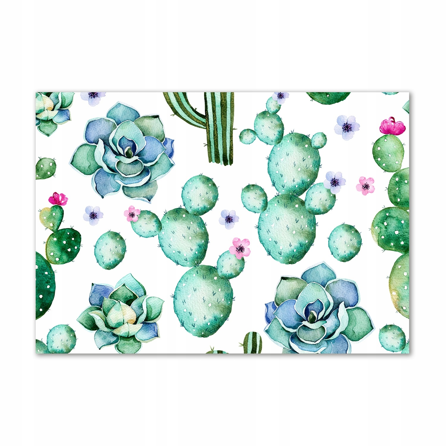 

Obraz zdjęcie szkło akrylowe Kaktusy duży 100x70cm