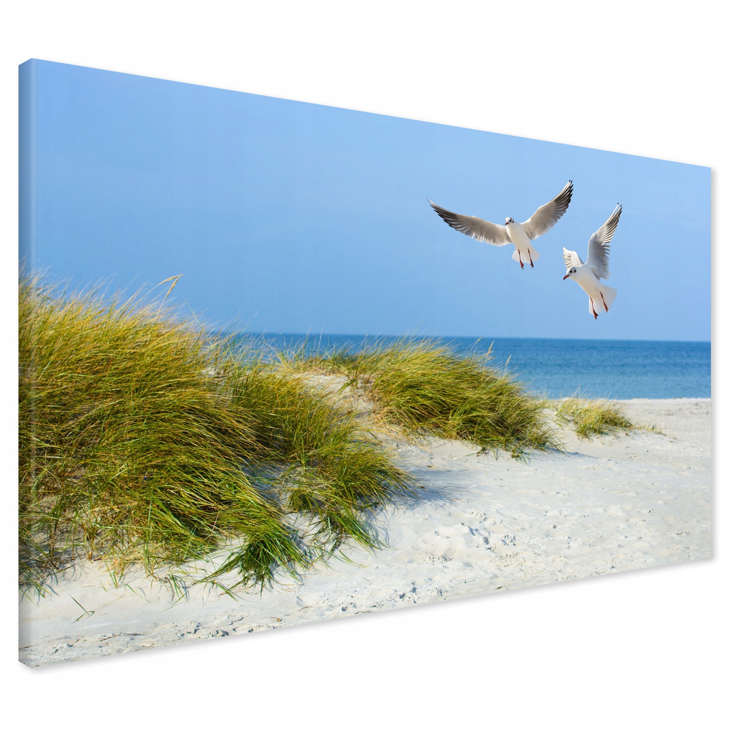 Obraz na płótnie 120x80 Mewy Plaza Morze Nowoczesny XXL Canvas do Salonu