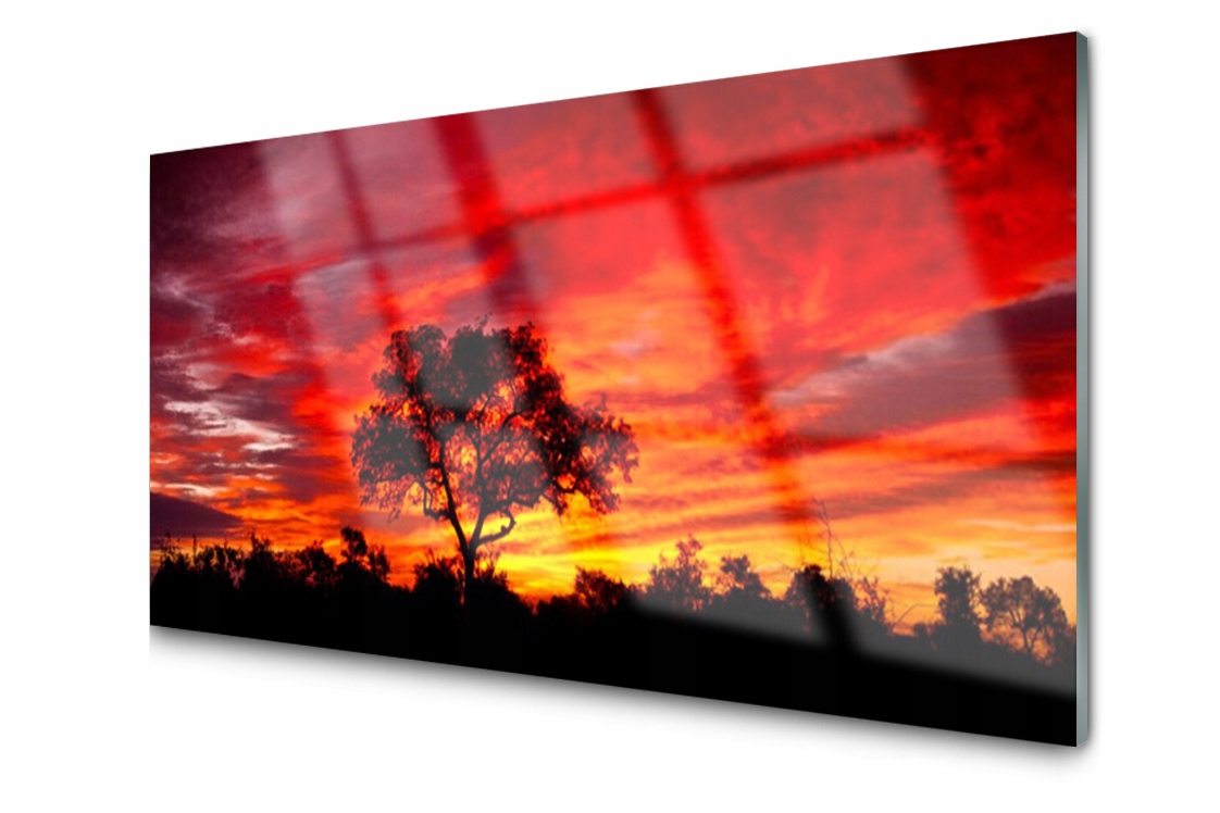 

Panel szklany Płytka Las Zachód Drzewo 100x50