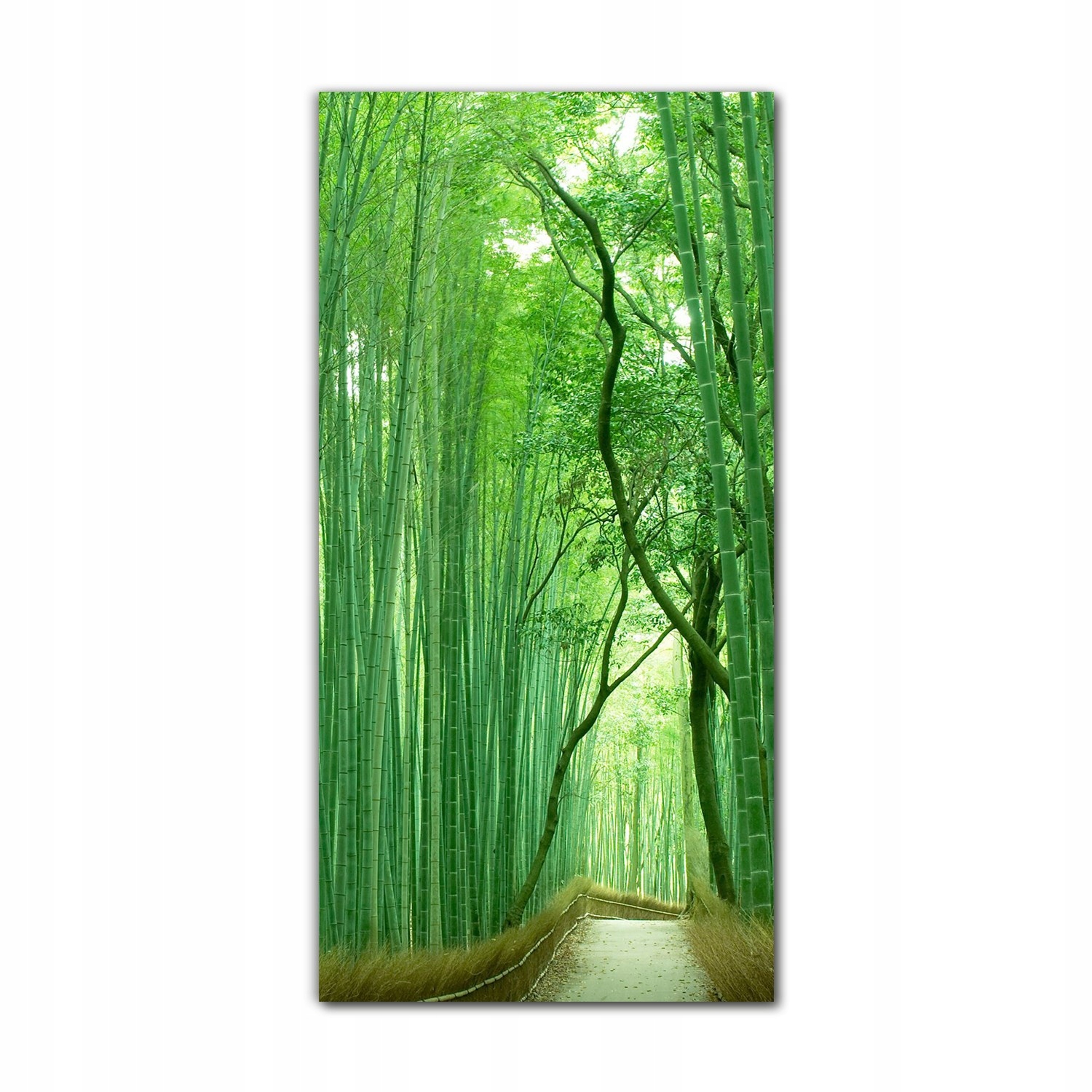 

Obraz na szkle nowoczesny 70x140 cm Kioto bambusy