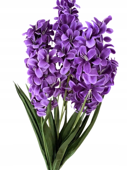 

Hiacynt x7 bukiet kwiatów