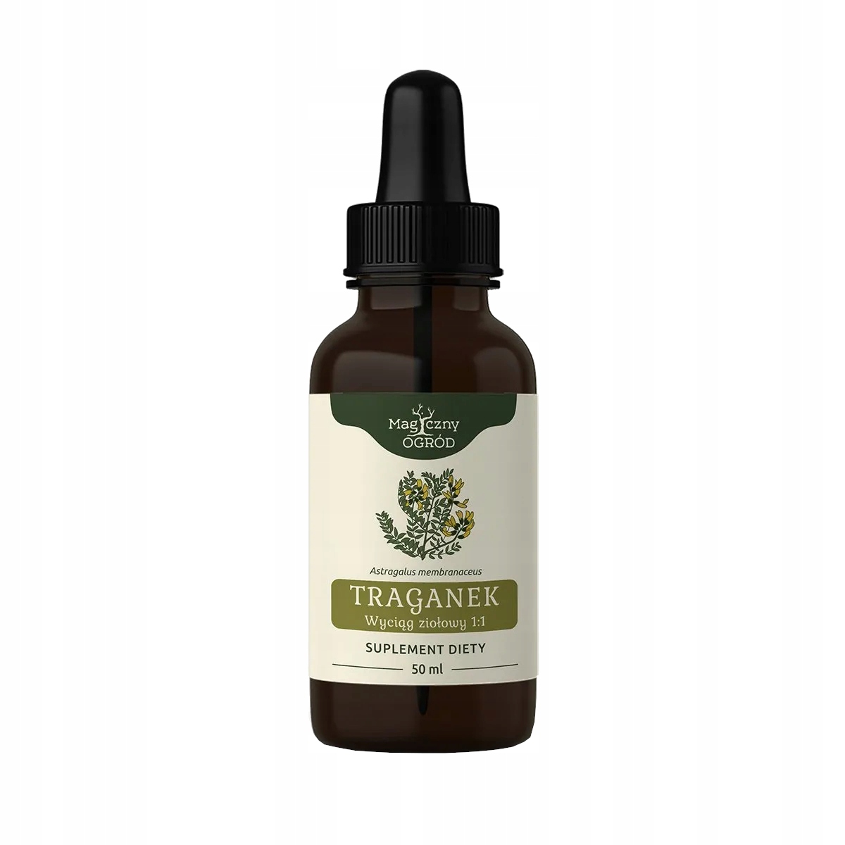 

Traganek Astragalus membranaceus nalewka 1:1 50ml