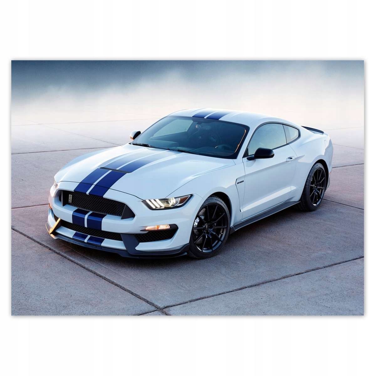 Fototapety 254x184 Ford Mustang Shelby