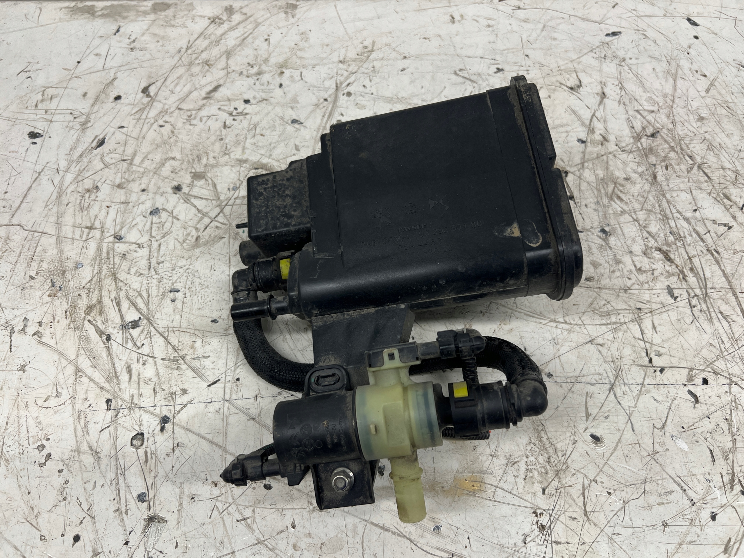 DS4 II carbon filter 9829280480
